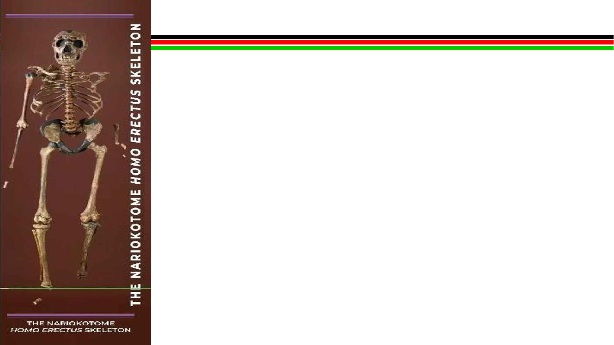 Lake Turkana Basin Science Library